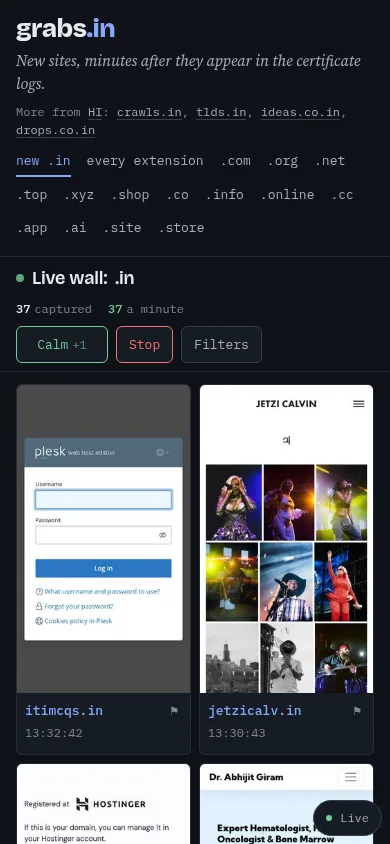 grabs.in on a phone